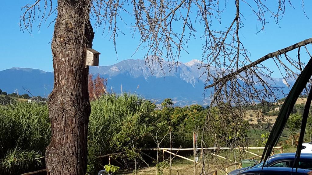 B&B L'Albero Di Antonia Атри Екстериор снимка