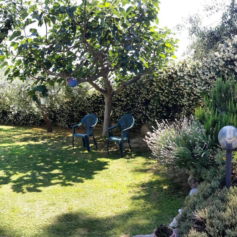 B&B L'Albero Di Antonia Атри Екстериор снимка